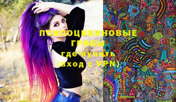 гашик Алзамай