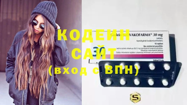 гашик Алзамай