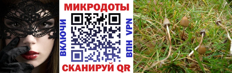 даркнет Telegram  Светлоград  Галлюциногенные грибы ЛСД 